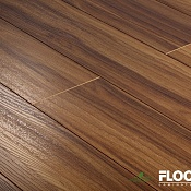 Дикий сандал Дикий сандал